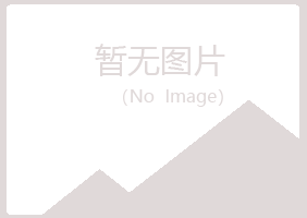 偃师映秋冶炼有限公司